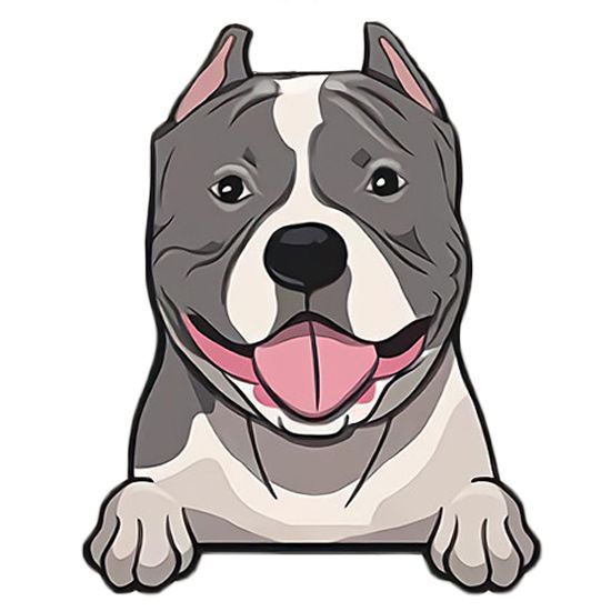 Coleira mais vendidas