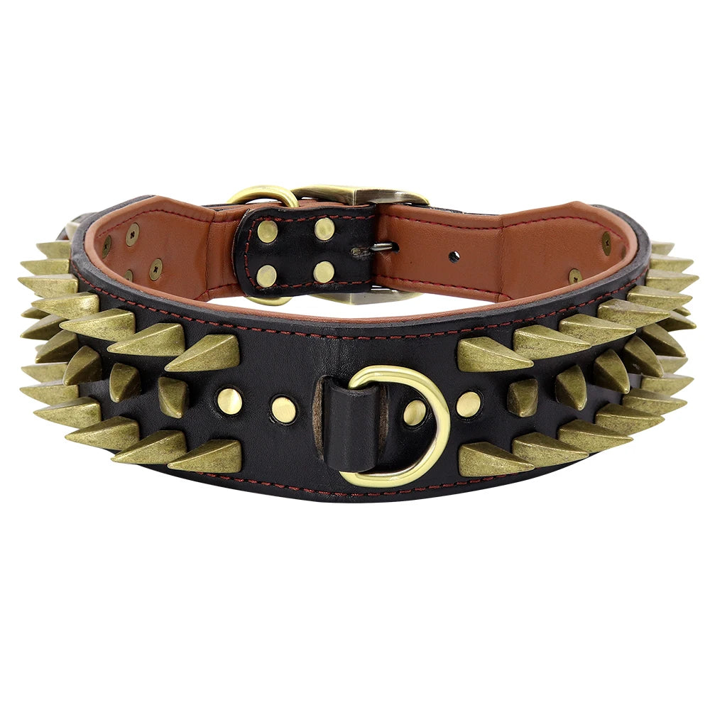 Colar American bully