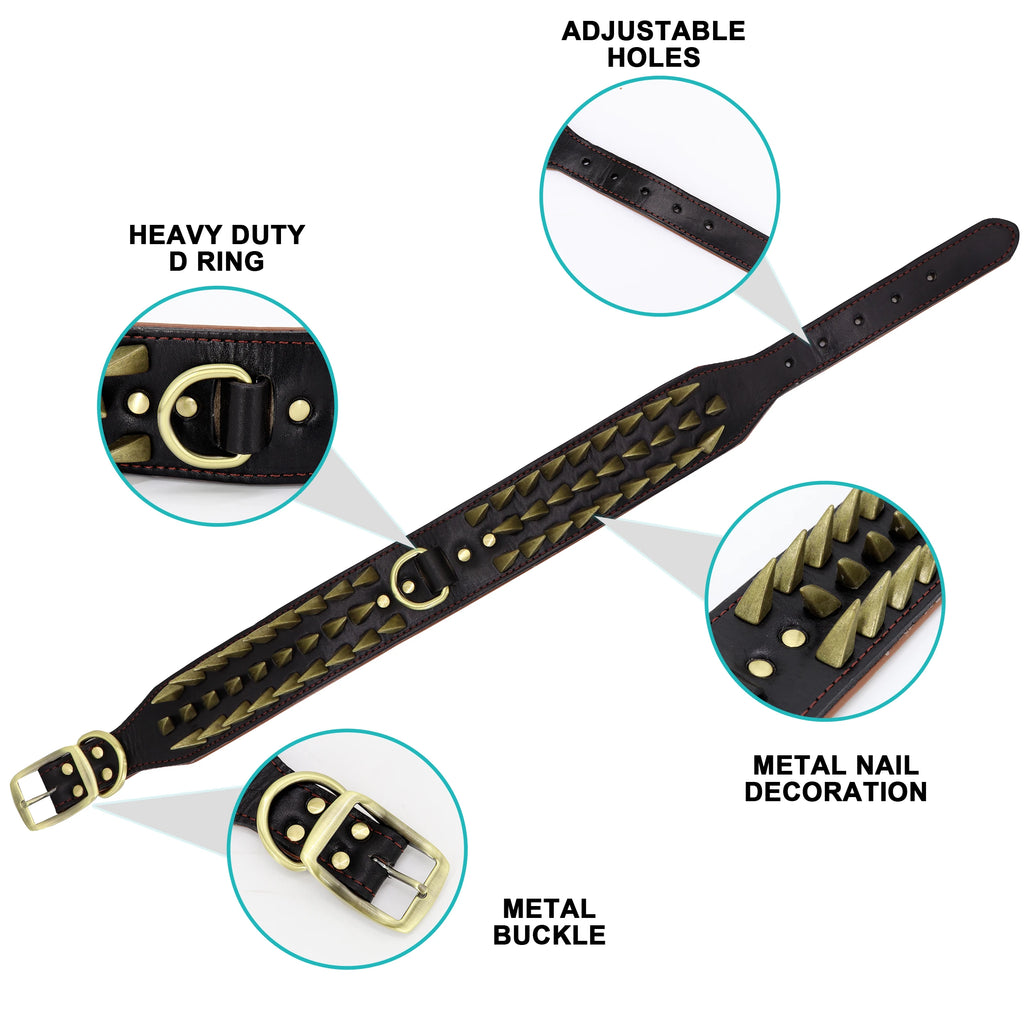 Coleira personalizada com picos / Cão adulto