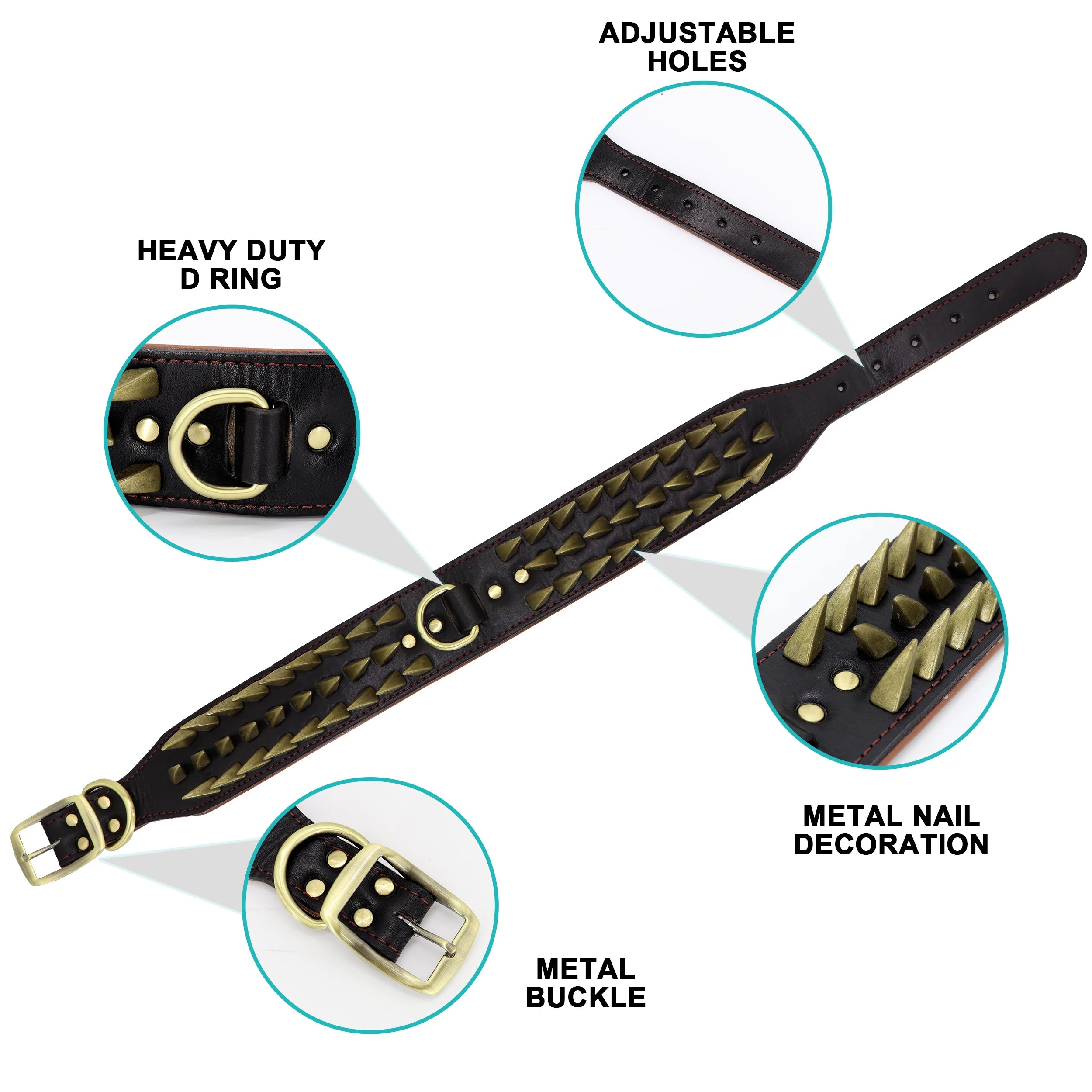 Coleira personalizada com picos / Cão adulto