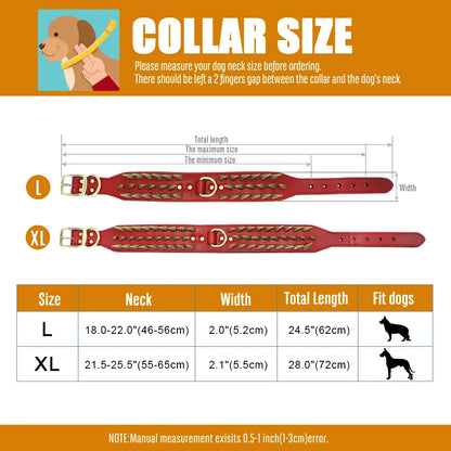 Colar American bully
