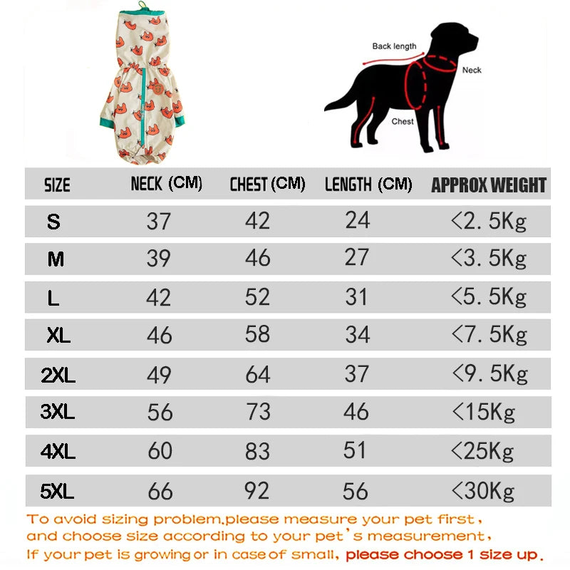 Casaco amarelo / estilo 2025
